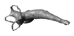vestibular-about2.png