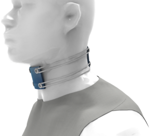 tSDCS-Cervical-strap-1-sv.png